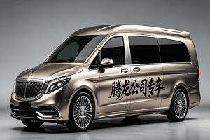 腾龙公司豪华专车接待